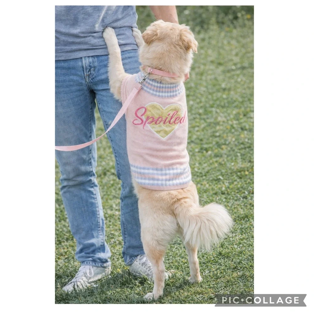 Spoiled Pink Gold Heart Dog Sweater Stripe Trim M/L